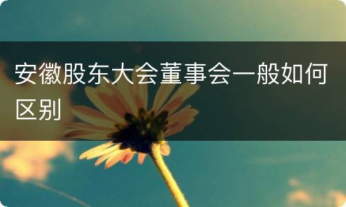 安徽股东大会董事会一般如何区别