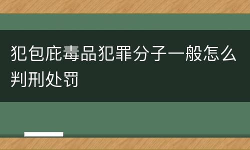 犯包庇毒品犯罪分子一般怎么判刑处罚