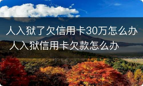 人入狱了欠信用卡30万怎么办 人入狱信用卡欠款怎么办