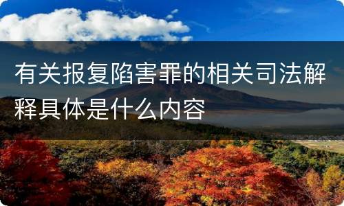 有关报复陷害罪的相关司法解释具体是什么内容