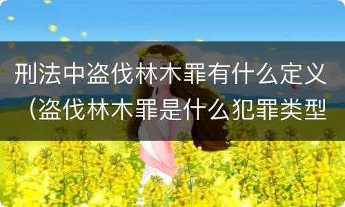刑法中盗伐林木罪有什么定义（盗伐林木罪是什么犯罪类型）
