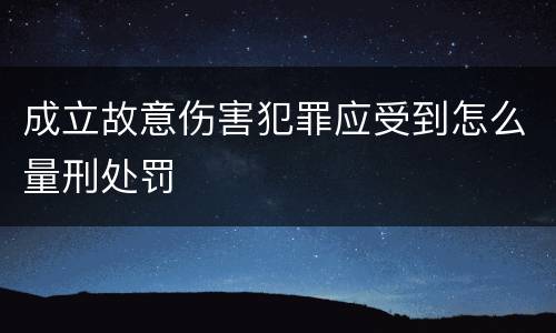 成立故意伤害犯罪应受到怎么量刑处罚