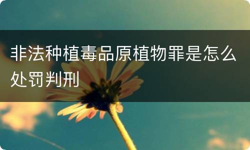 非法种植毒品原植物罪是怎么处罚判刑