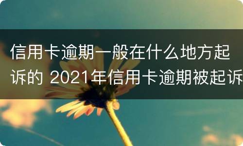 信用卡逾期一般在什么地方起诉的 2021年信用卡逾期被起诉怎么办