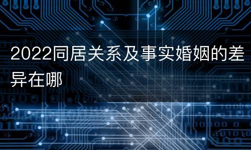 2022同居关系及事实婚姻的差异在哪