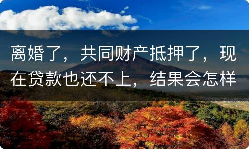 离婚了，共同财产抵押了，现在贷款也还不上，结果会怎样