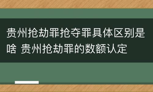 贵州抢劫罪抢夺罪具体区别是啥 贵州抢劫罪的数额认定