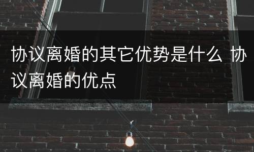协议离婚的其它优势是什么 协议离婚的优点