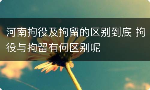河南拘役及拘留的区别到底 拘役与拘留有何区别呢
