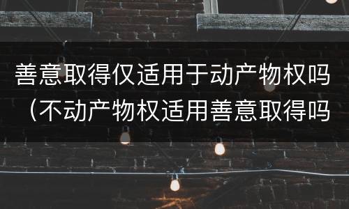 善意取得仅适用于动产物权吗（不动产物权适用善意取得吗）