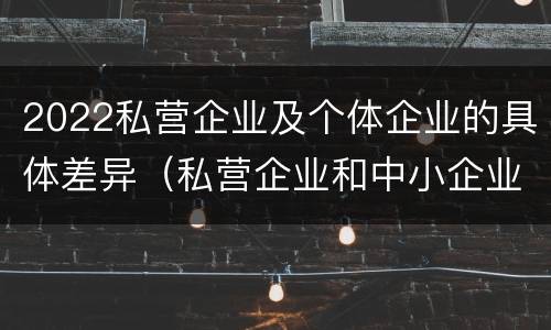 2022私营企业及个体企业的具体差异（私营企业和中小企业）