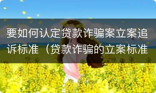 要如何认定贷款诈骗案立案追诉标准（贷款诈骗的立案标准）