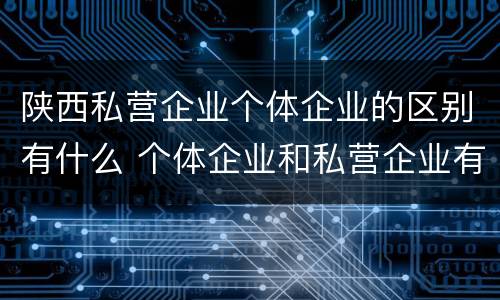 陕西私营企业个体企业的区别有什么 个体企业和私营企业有哪些