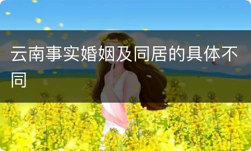 云南事实婚姻及同居的具体不同