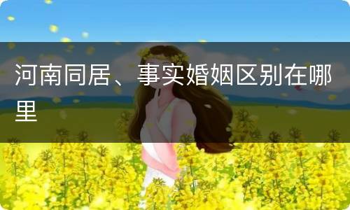 河南同居、事实婚姻区别在哪里