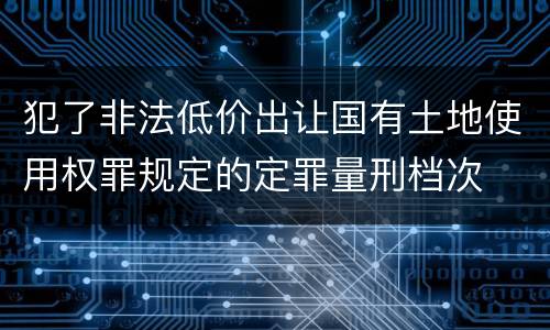 犯了非法低价出让国有土地使用权罪规定的定罪量刑档次