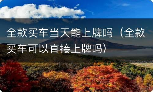 全款买车当天能上牌吗（全款买车可以直接上牌吗）