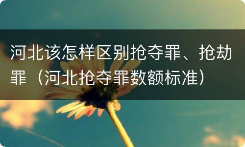 河北该怎样区别抢夺罪、抢劫罪（河北抢夺罪数额标准）