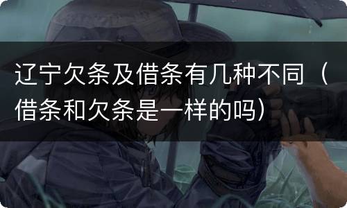 辽宁欠条及借条有几种不同（借条和欠条是一样的吗）