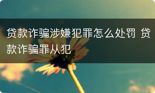 贷款诈骗涉嫌犯罪怎么处罚 贷款诈骗罪从犯