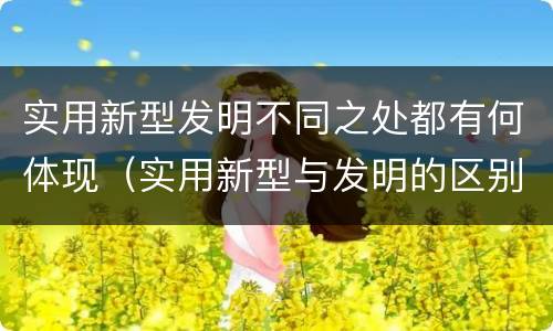 实用新型发明不同之处都有何体现（实用新型与发明的区别有哪些）