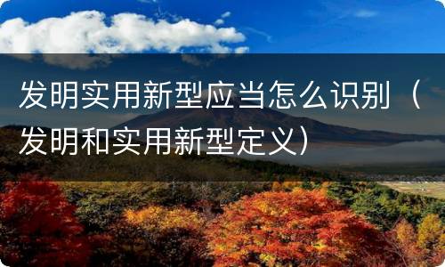 发明实用新型应当怎么识别（发明和实用新型定义）