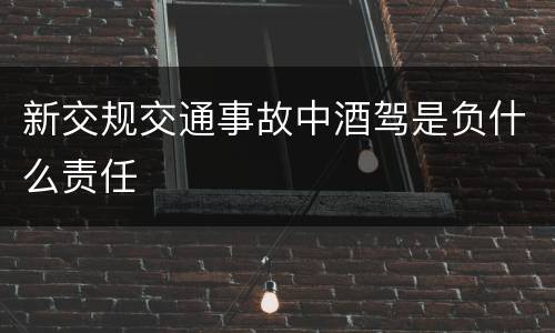 新交规交通事故中酒驾是负什么责任