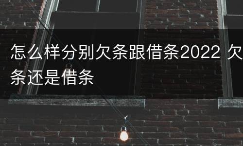怎么样分别欠条跟借条2022 欠条还是借条
