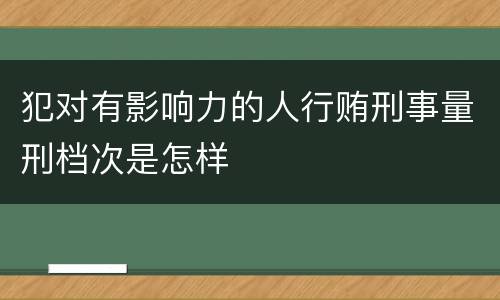犯对有影响力的人行贿刑事量刑档次是怎样