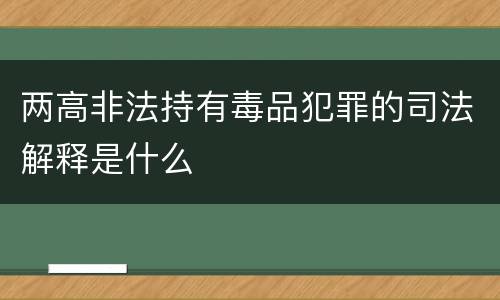 两高非法持有毒品犯罪的司法解释是什么