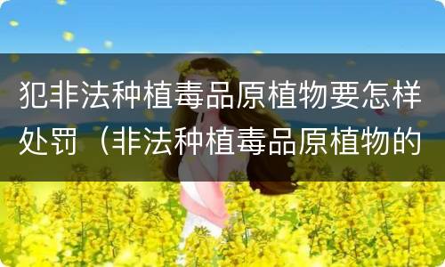 犯非法种植毒品原植物要怎样处罚（非法种植毒品原植物的处罚）