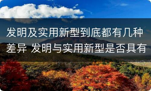发明及实用新型到底都有几种差异 发明与实用新型是否具有实用性