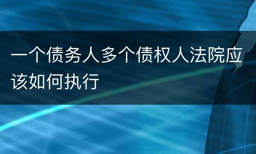一个债务人多个债权人法院应该如何执行