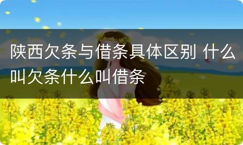陕西欠条与借条具体区别 什么叫欠条什么叫借条