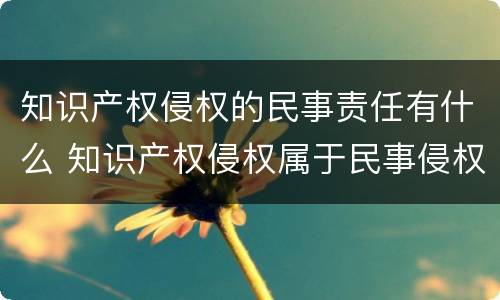 知识产权侵权的民事责任有什么 知识产权侵权属于民事侵权吗