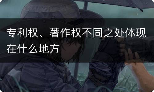 专利权、著作权不同之处体现在什么地方