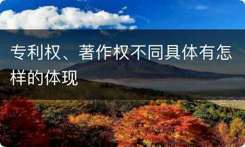 专利权、著作权不同具体有怎样的体现