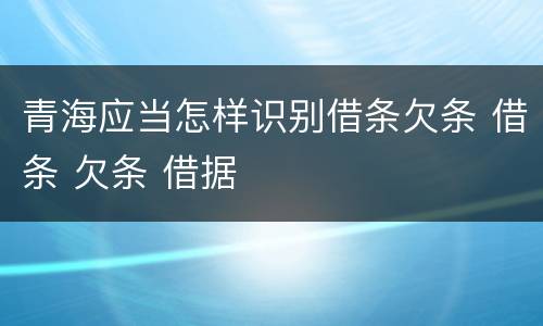 青海应当怎样识别借条欠条 借条 欠条 借据