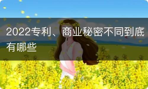 2022专利、商业秘密不同到底有哪些