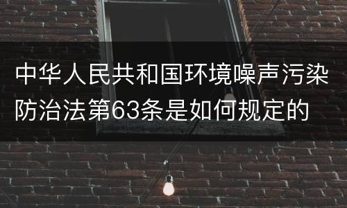 中华人民共和国环境噪声污染防治法第63条是如何规定的