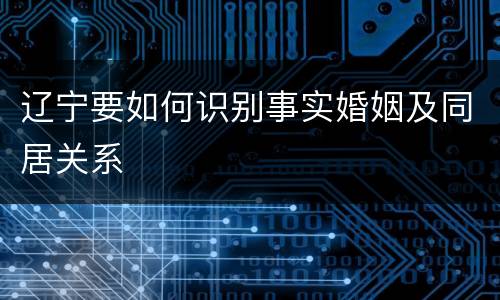 辽宁要如何识别事实婚姻及同居关系