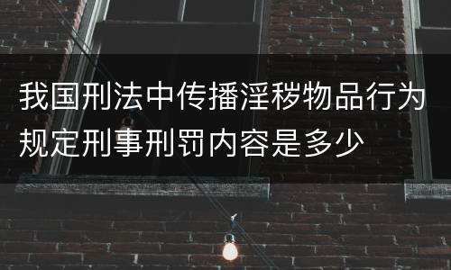 我国刑法中传播淫秽物品行为规定刑事刑罚内容是多少