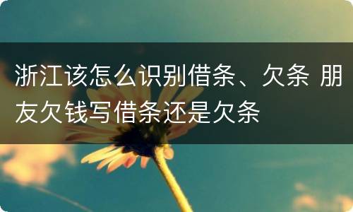 浙江该怎么识别借条、欠条 朋友欠钱写借条还是欠条
