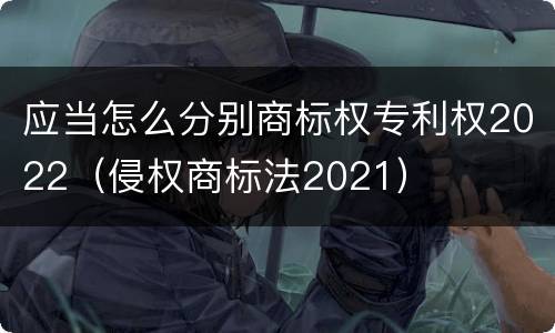 应当怎么分别商标权专利权2022（侵权商标法2021）