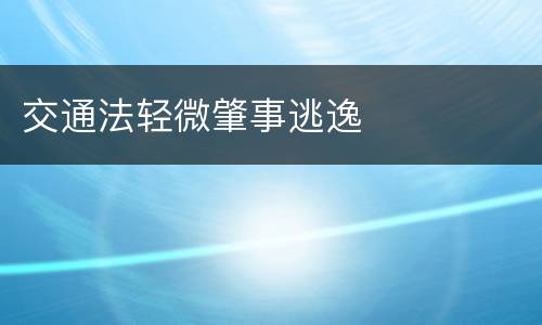 交通法轻微肇事逃逸