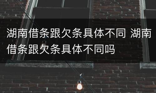 湖南借条跟欠条具体不同 湖南借条跟欠条具体不同吗