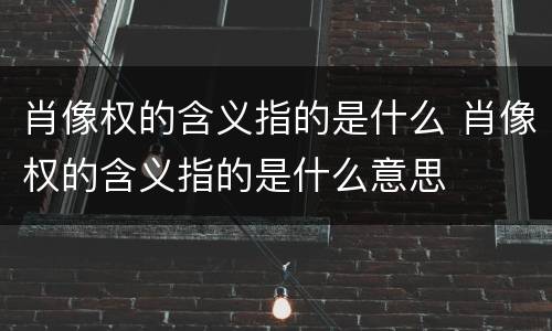 肖像权的含义指的是什么 肖像权的含义指的是什么意思