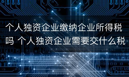 个人独资企业缴纳企业所得税吗 个人独资企业需要交什么税
