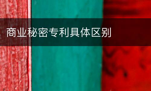 商业秘密专利具体区别