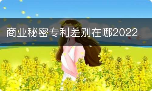 商业秘密专利差别在哪2022
